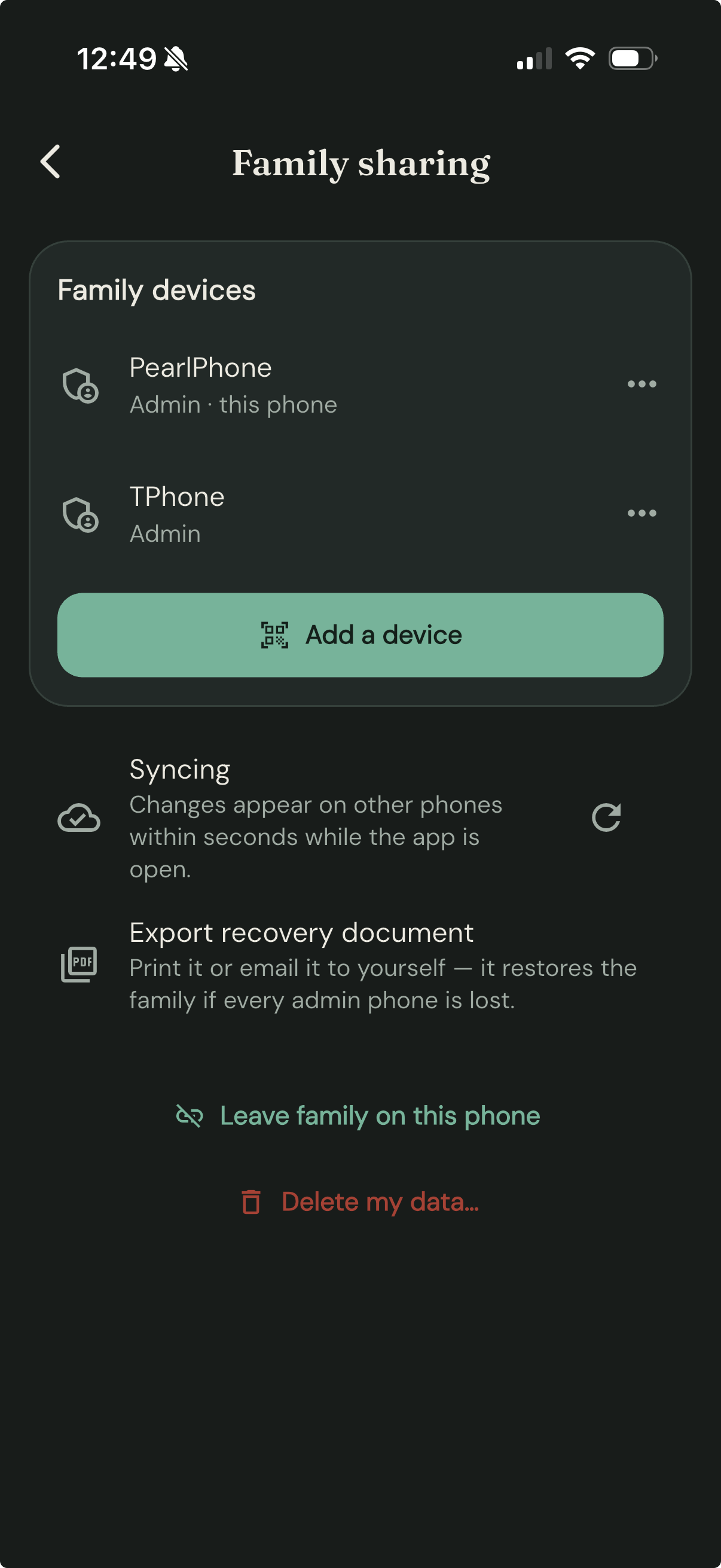 The connected Family sharing screen: the devices list, Add a device, Syncing, Export recovery document, Leave, Delete my data